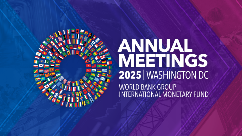 Icon representing High Level Capacity Development Talk: Strengthening Financial System Resilience in Uncertain Times—Building Capacity in Emerging and Developing Count
